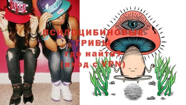 гидропоника Абдулино