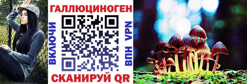 Псилоцибиновые грибы мицелий  Приволжск 